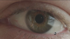 2020 Vision A Look Back