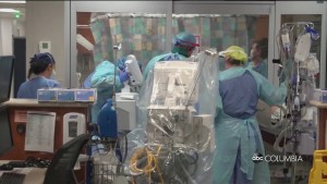 South African Strain