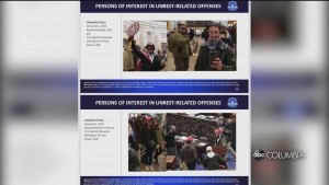 Capitol Attack Arrests