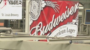 Budweiser Skips