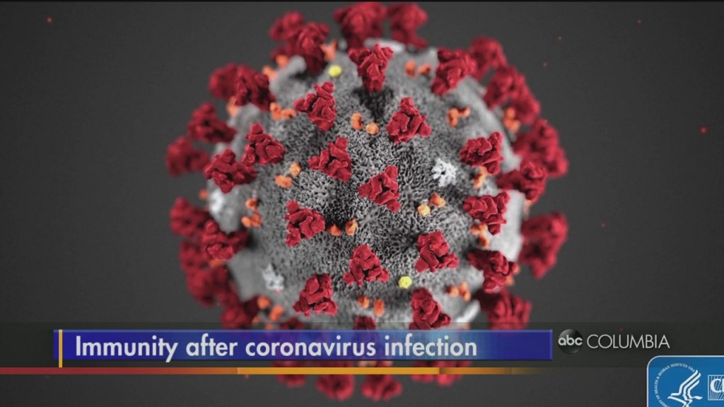 Covid Immunity