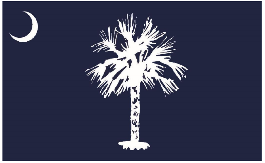 The design of the new South Carolina flag returns to the drawing board