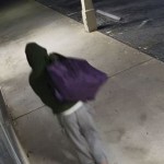 Lpd Catalytic Converter Suspect 2