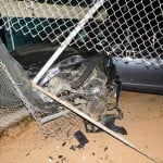 Prosperity Baseball Field Car 2