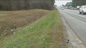 Highway Litter