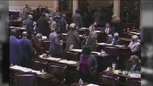 Dems Walkout