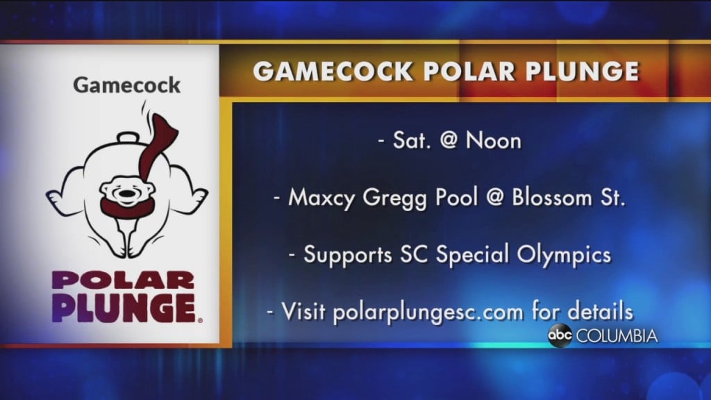 Gamecock Polar Plunge