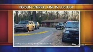 Kershaw Stabbing