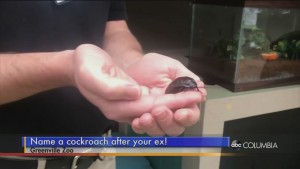 Cockroach Ex