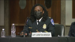 Capitol Riots