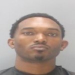 Michael J Knox