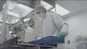 Merck And J&j