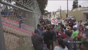 Immigration