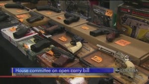 Sc Open Carry