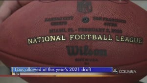 Nfl Draft Fans