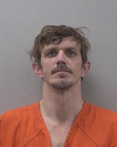 Sheehan David Anthony