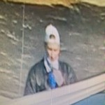 Lee Co Catalytic Converter Suspect 1