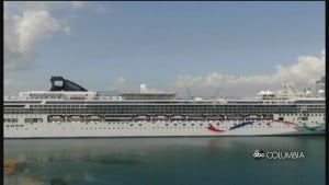 Cruises Back