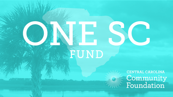 Onesc Fund Graphic 01