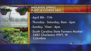 Plant And Flower Sale