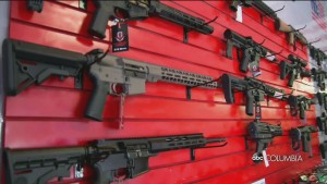Gun Law Fight