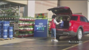 Lowes Giveaway