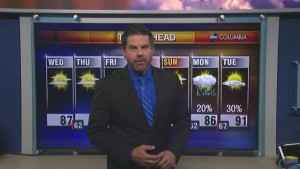 Weds Web Wx