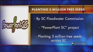 3 Million Trees