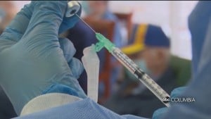 Vaccines Folo