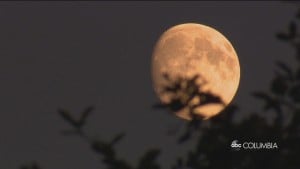 Pink Supermoon