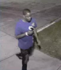 Cpd Greene Street Sexual Assault Suspect 2
