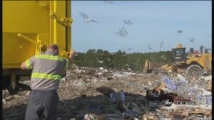 Jewelry In Landfill