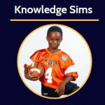 Knowledge Sims