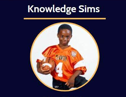 Knowledge Sims
