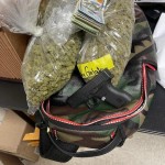 K9 Nala Bust 2