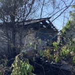 Cola Fire Shed 1