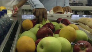 Healthy Meal School