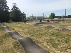 Img 0919
