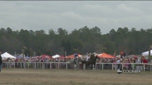 Carolina Cup