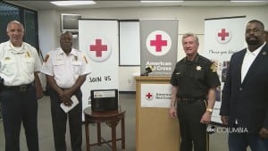 Red Cross Badges