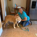 Rcsd Bear And Gloria