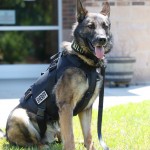 Scso Kilo In Vest 1