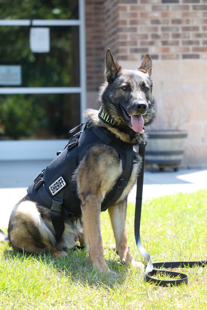 Scso Kilo In Vest 1