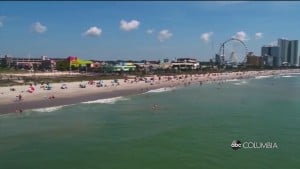Myrtle New Rules