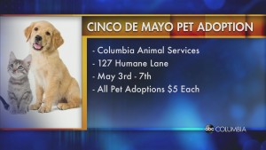 Cinco De Mayo