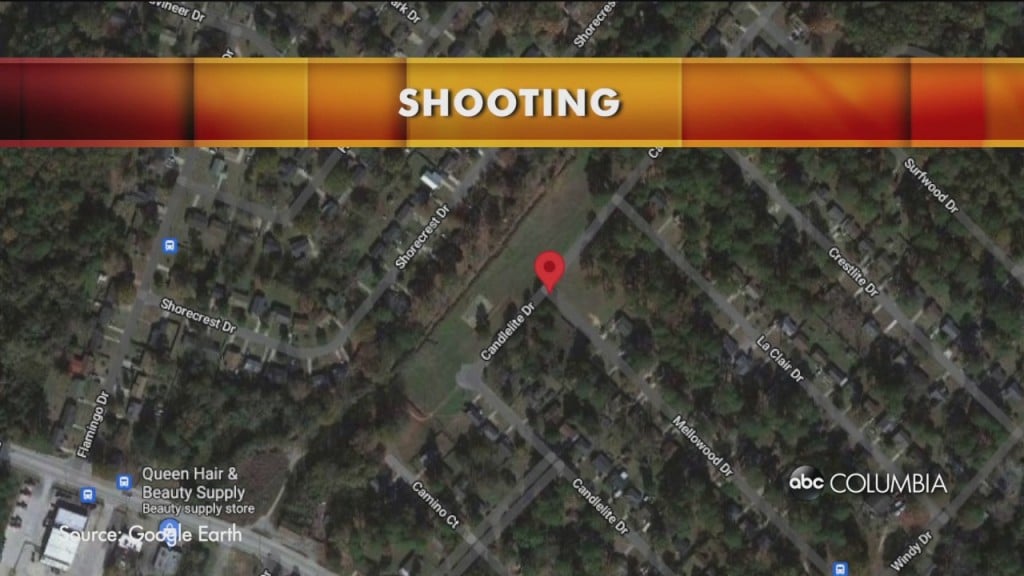 Mellowood Dr Shooting