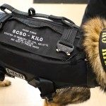 Scso Kilo In Vest 2