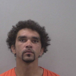 Flannery David James