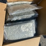 Interstate 95 Seizure
