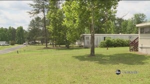 11 Yr Old Killed
